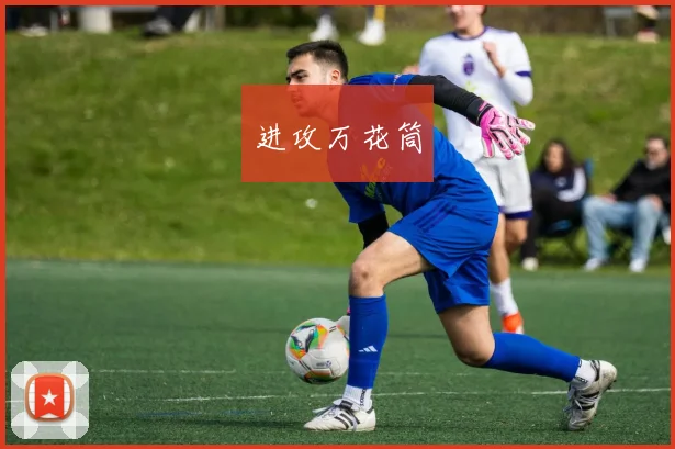 进攻万花筒